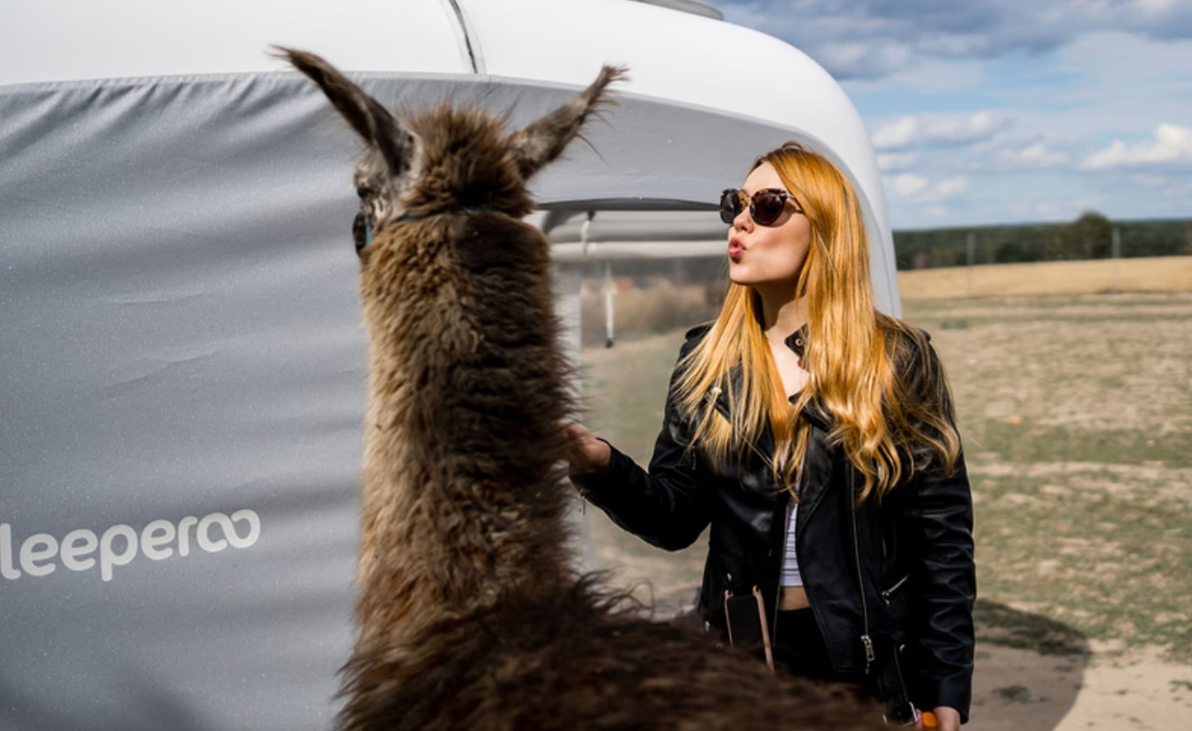 Alpaka Dream Unique Stay - Cube