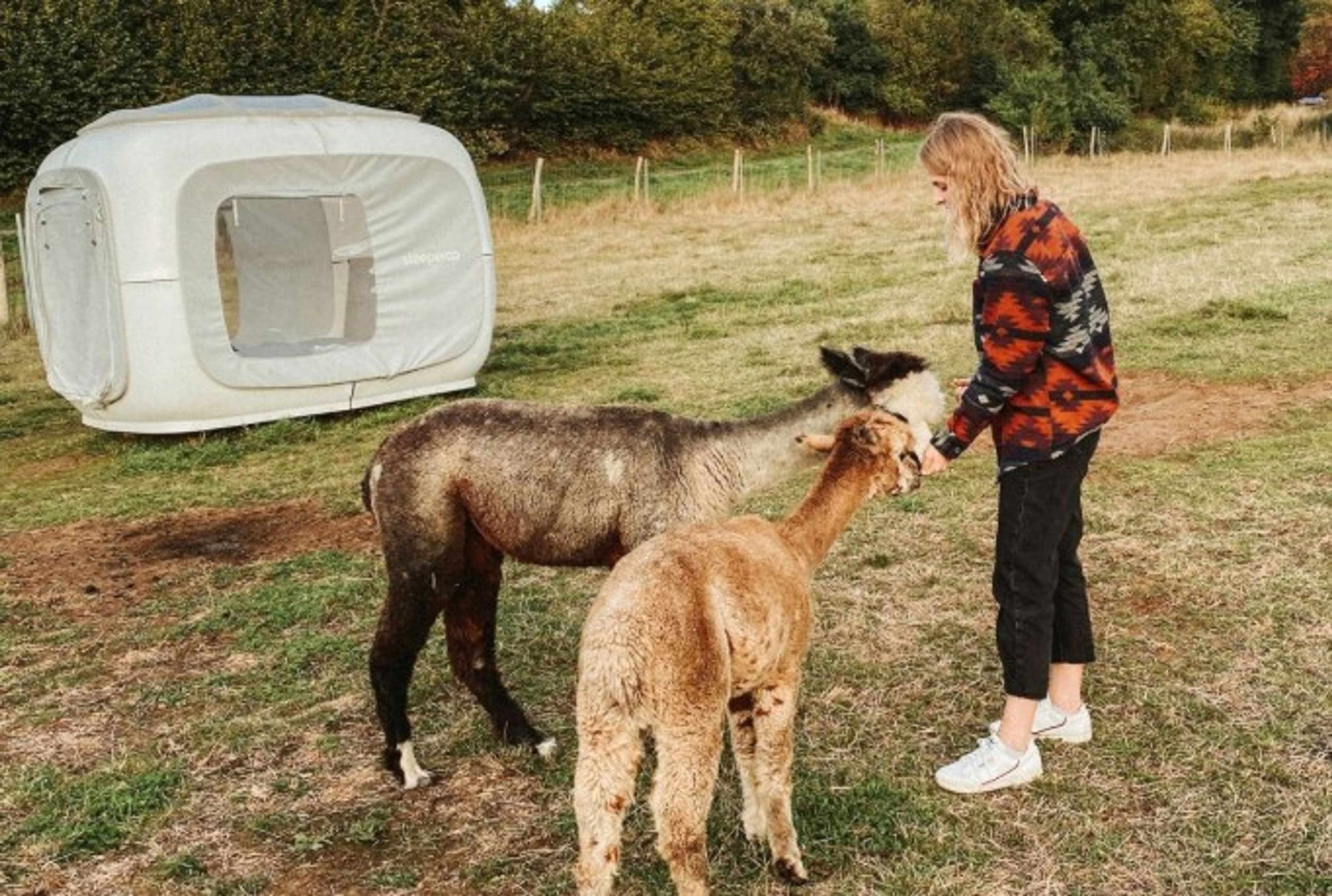 Alpaka Dream Unique Stay - Cube - 8